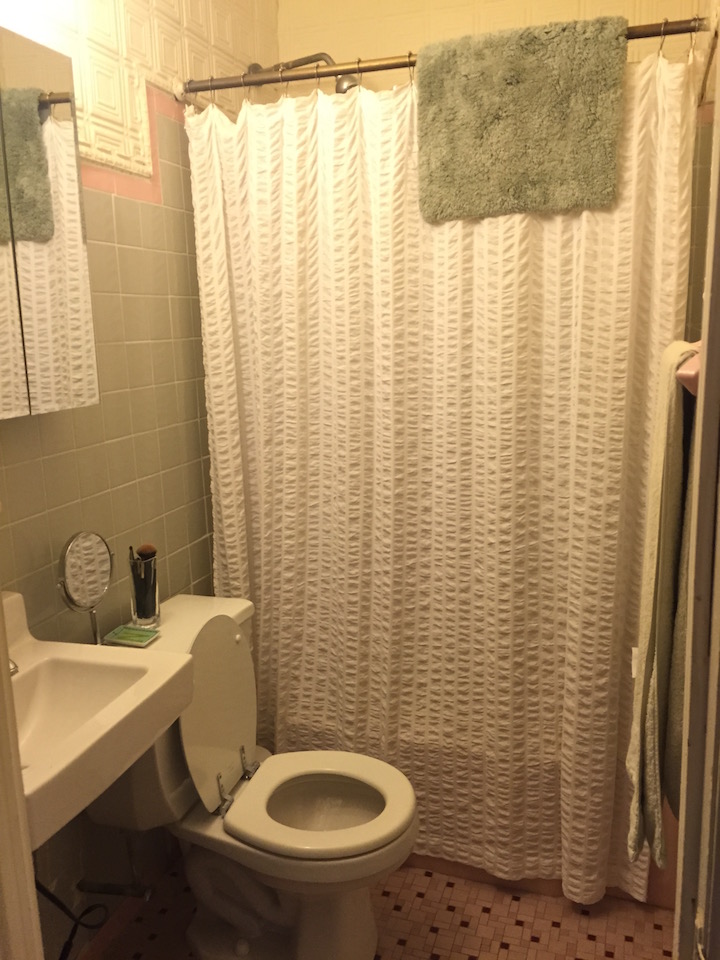 Apartment, Rented, polhemus place, 1 Bathrooms, Listing ID 1034, Brooklyn, kings, New York, United States, 11215,
