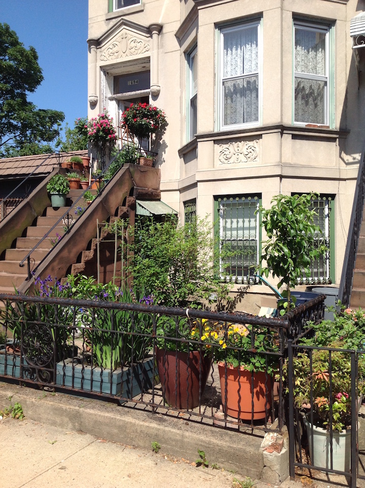 2 Bedrooms, Apartment, For Rent, 11th ave, 1 Bathrooms, Listing ID 1038, brooklyn, kings, New York, United States, 11218,