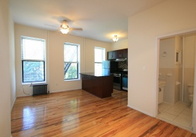 369 7th Street,brooklyn,kings,New York,United States 11215,1.5 Bedrooms Bedrooms,1 BathroomBathrooms,Apartment,7th Street,1045