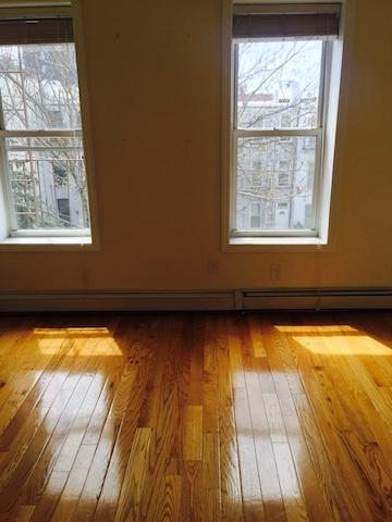 196 13th street,brooklyn,kings,New York,United States 11215,2 Bedrooms Bedrooms,1 BathroomBathrooms,Apartment,13th street,1070